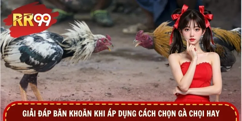 Giải đáp băn khoăn khi áp dụng cách chọn gà chọi hay