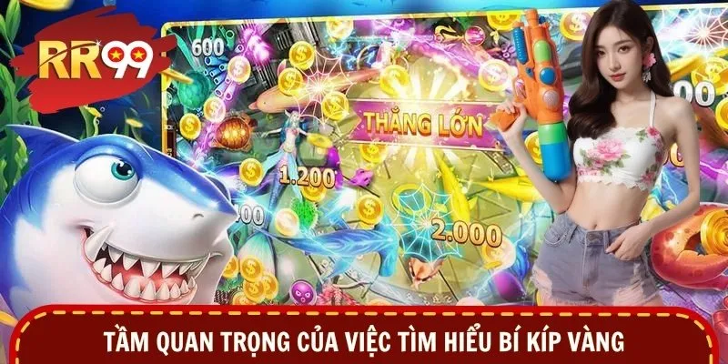Tầm quan trọng của việc tìm hiểu bí kíp vàng